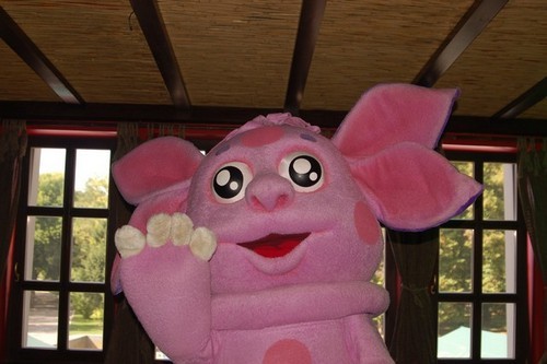 Лунтик и его друзья (сценарий праздника)